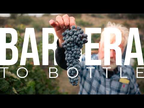 Familien på gården